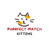 purrfectmatchkittens.com