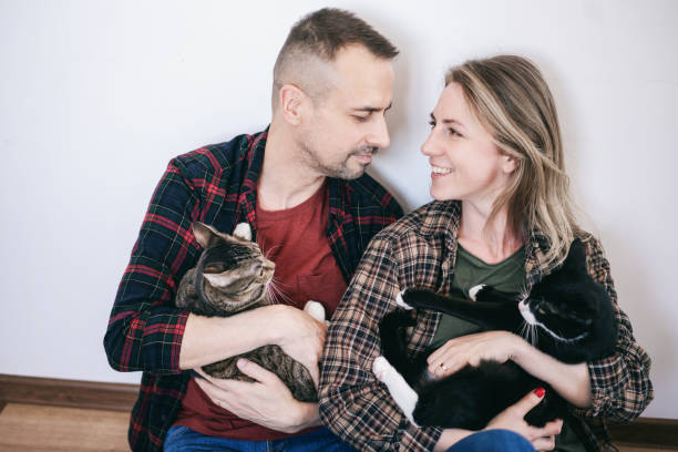 purrfectmatchkittens